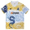 FC Porto Dragon Special Edition Fotbollströjor 2025-26
