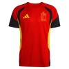 Belgien Tränings tröjor VM 2026 Röd Belgien Tränings tröjor VM 2026 Röd