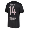 Paris Saint-Germain D. Doue 14 Fotbollströjor Fjärde Jordan 2025-26