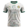 Senegal Fotbollströjor Hemma VM 2026
