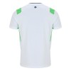 Irland Fotbollströjor Borta 2026-27