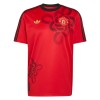 Manchester United Cultural Story Special Edition Fotbollströjor 2025-26