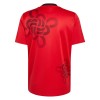 Manchester United Cultural Story Special Edition Fotbollströjor 2025-26