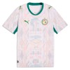 Senegal Fotbollströjor Hemma VM 2026