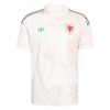 Wales Fotbollströjor Borta VM 2026
