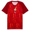 Ghana Pre-Match Fotbollströjor VM 2026