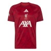 Liverpool Pre-Match Fotbollströjor 2026-27 Liverpool Pre-Match Fotbollströjor 2026-27