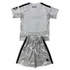 Real Madrid Gray Version Fotbollströjor Målvakt 2026-27 - Barn