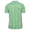 AS Saint-Etienne Fotbollströjor Tredje 2026-27