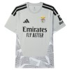SL Benfica Gray Version Fotbollströjor Målvakt 2026-27 SL Benfica Gray Version Fotbollströjor Målvakt 2026-27