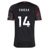 Liverpool Chiesa 14 Fotbollströjor Tredje 2026-27